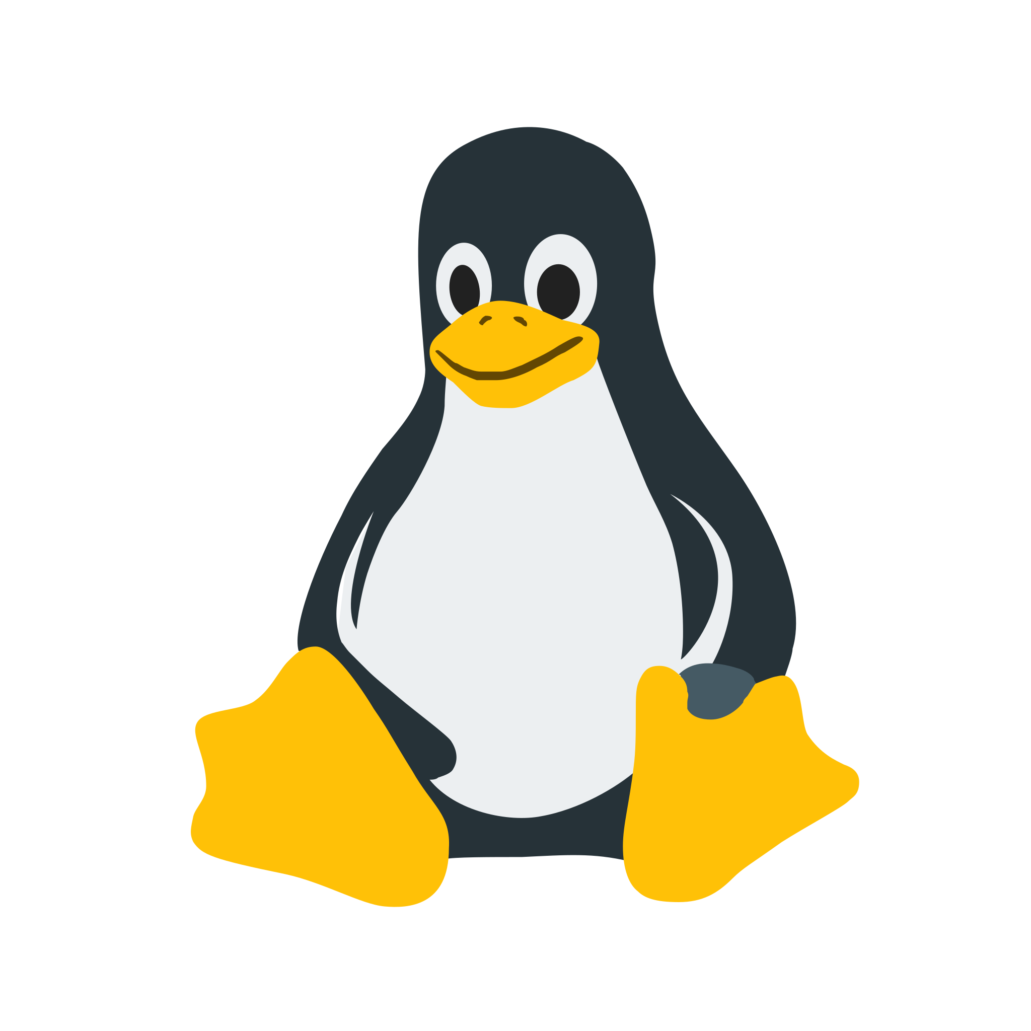 Python